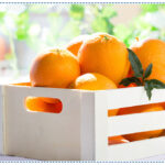 ‘Valencia Orange’ A Citrus To Import From EG Gate
