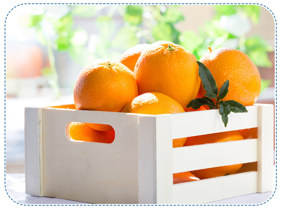 ‘Valencia Orange’ A Citrus To Import From EG Gate